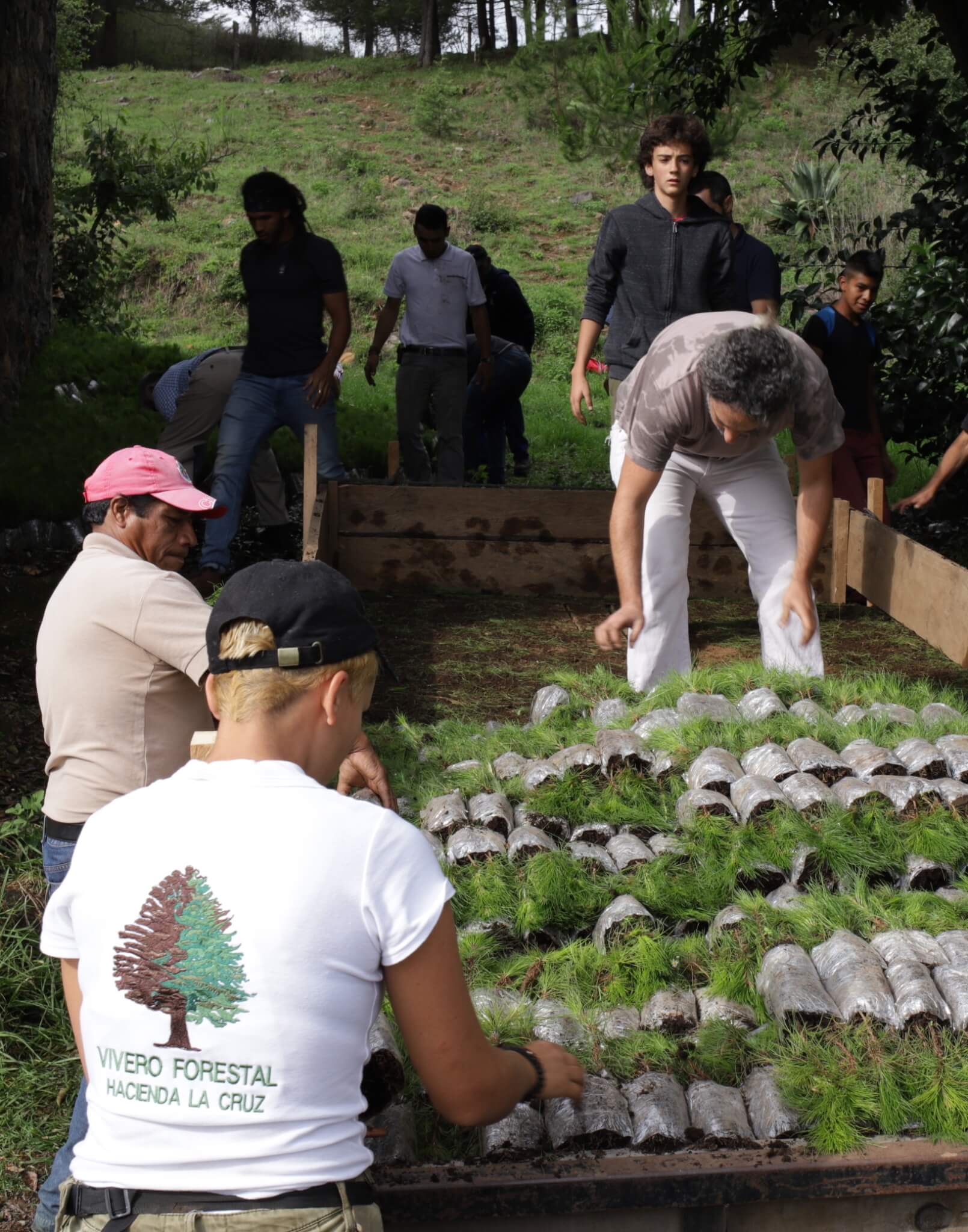 Volunteers_for_Website